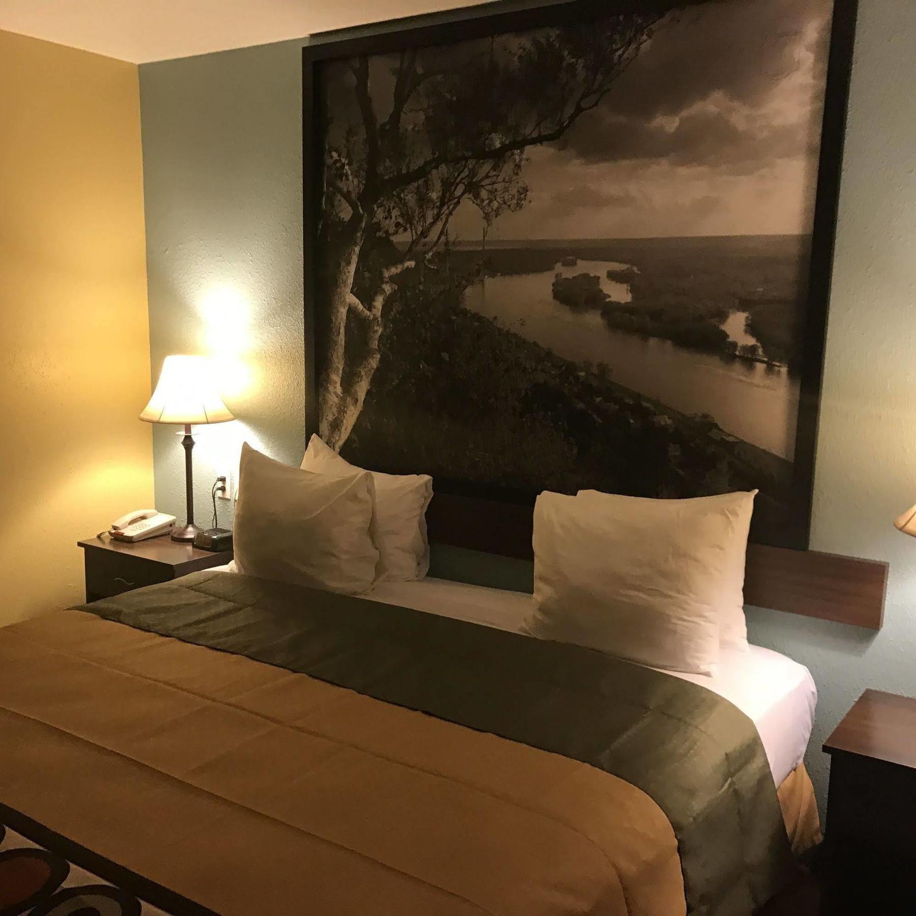 Hotel Super 8 By Wyndham Plover Stevens Point Area